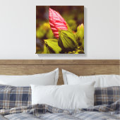 Roze Bloemknop Bloementuin foto single Canvas Afdruk (Insitu (Slaapkamer))