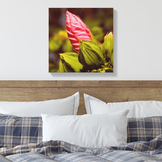 Roze Bloemknop Bloementuin foto single Canvas Afdruk (Insitu (Slaapkamer))