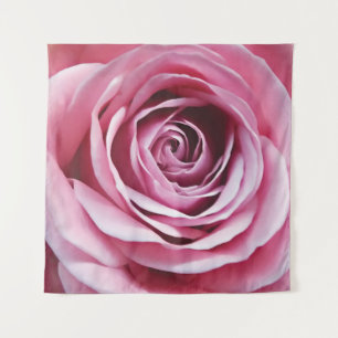 Roze bloemknop close up, roos knop wandkleed