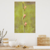 Roze Bloemknoppen Gladiolus Art Poster (Keuken)