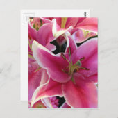 Roze bloemmagie briefkaart (Voorkant / Achterkant)