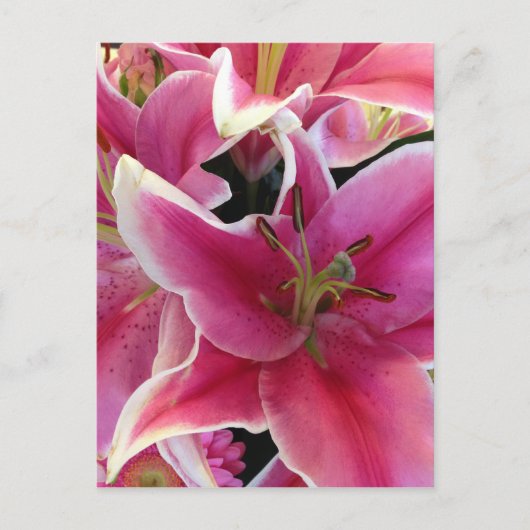 Roze bloemmagie briefkaart (Voorkant)