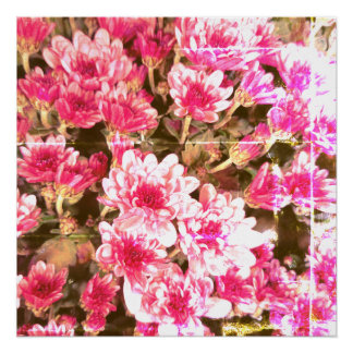 Roze Bloemmotief – Zachte Botanische Ontwerp Perfect Poster