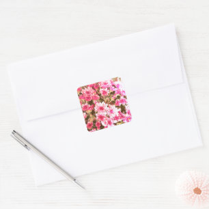 Roze Bloemmotief – Zachte Botanische Ontwerp Vierkante Sticker