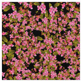 Roze bloempatroon stof (Close Up)