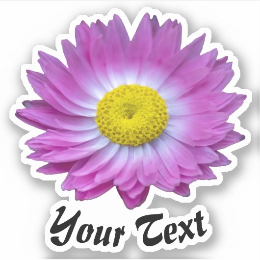 Roze bloempitten met gele stempels in de lente st sticker (Voorkant)