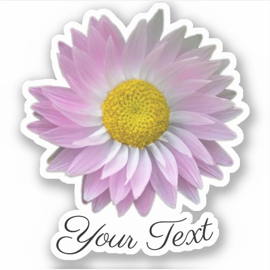 Roze bloempitten met gele stempels in de lente st sticker (Voorkant)