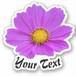 Roze bloempitten met gele stempels in de lente sticker