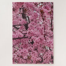 Roze bloemrijke lenteboom