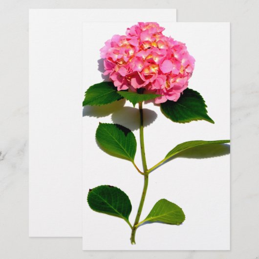 Roze bloemroze bloemroze floraal briefpapier (Voorkant / Achterkant)