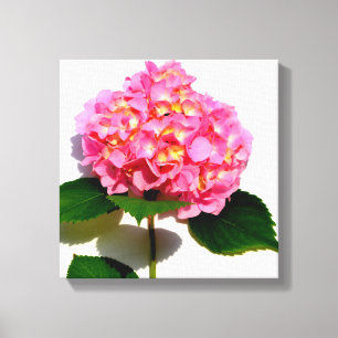 Roze bloemroze bloemroze floraal canvas afdruk