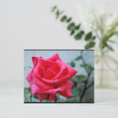 Roze Bloemstuk Roos Portret Briefkaart (Staand voorkant)