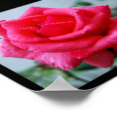 Roze Bloemstuk Roos Portret Poster (Hoek)