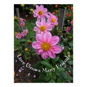 Roze bloemtuin perfect poster