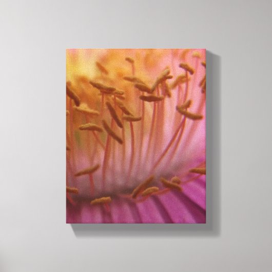 Roze bloescanvas canvas afdruk (Voorkant)