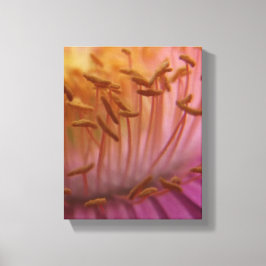 Roze bloescanvas canvas afdruk