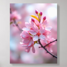Roze Bloesem Acryl Foto Tegel