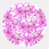 Roze Bloesem – Afgeronde Bloemen Sticker (Voorkant)