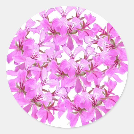 Roze Bloesem – Afgeronde Bloemen Sticker (Voorkant)