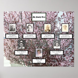 Roze Bloesem Drie Generaties Foto Familiestamboom Poster