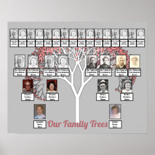 Roze bloesem Fractal Tree Grey Two Family Trees Poster