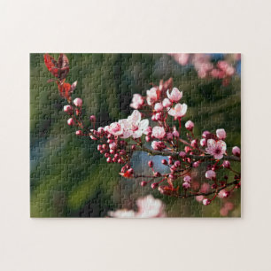 Roze bloesem in het warme zomerlicht legpuzzel