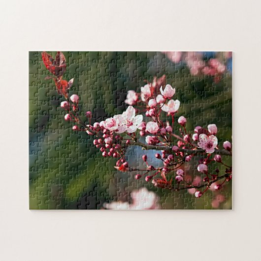 Roze bloesem in het warme zomerlicht legpuzzel (Horizontaal)