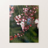 Roze bloesem in het warme zomerlicht legpuzzel (Verticaal)