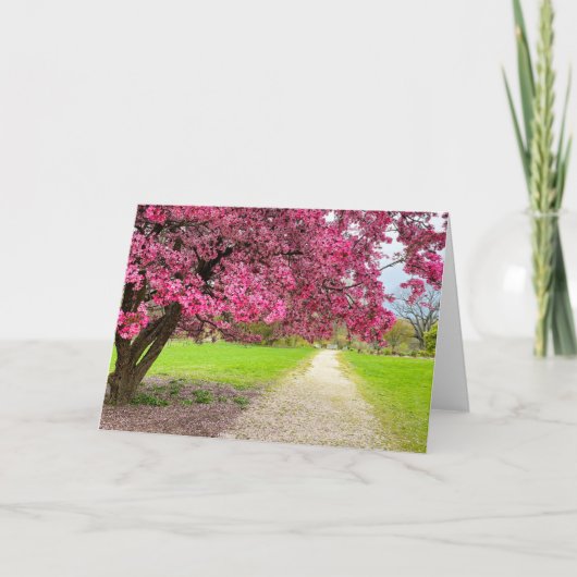 Roze Bloesem Kaart (Voorkant)