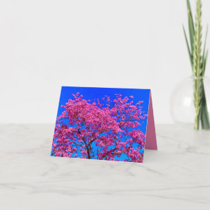 Roze Bloesem Lente Kaart