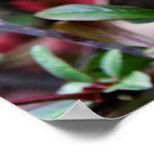 Roze Bloesem Lente Poster (Hoek)