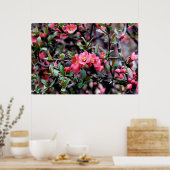 Roze Bloesem Lente Poster (Keuken)
