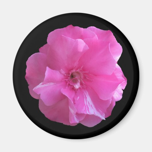 Roze bloesem magneet (Voorkant)