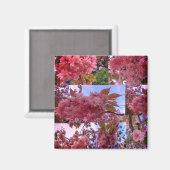 Roze bloesem magneet (Voorkant / Achterkant)