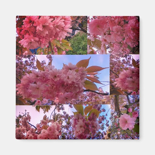 Roze bloesem magneet (Voorkant)