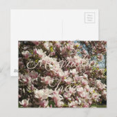 Roze Bloesem Magnolia Boom Bloemen Fotografie Briefkaart (Voorkant / Achterkant)