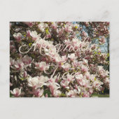 Roze Bloesem Magnolia Boom Bloemen Fotografie Briefkaart (Voorkant)