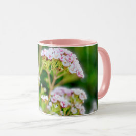 Roze bloesem mok