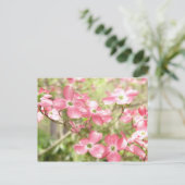 Roze Bloesem van de Cornus Briefkaart (Staand voorkant)
