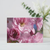 Roze Bloesems (Staand voorkant)