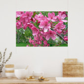 Roze bloesems Afdrukken Poster (Keuken)