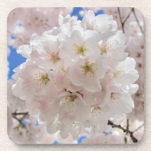 Roze bloesems. bier onderzetter (Voorkant)