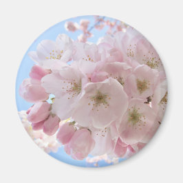 Roze bloesems blauwe lucht.  magneet