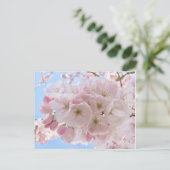 Roze bloesems Blue Sky. Briefkaart (Staand voorkant)
