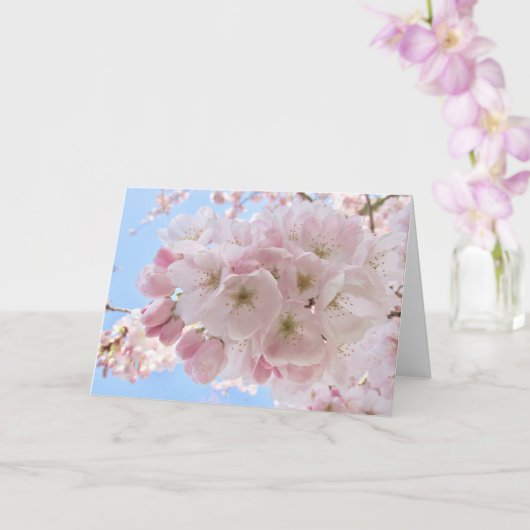 Roze bloesems Blue Sky Kaart (Orchidee)