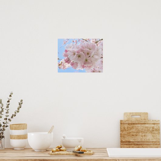 Roze bloesems Blue Sky. Poster (Keuken)