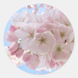 Roze bloesems Blue Sky. Ronde Sticker