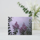 Roze bloesems briefkaart (Staand voorkant)