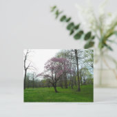 Roze bloesems briefkaart (Staand voorkant)