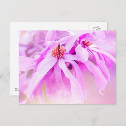 roze bloesems briefkaart (Voorkant / Achterkant)